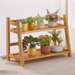 2 Layer Multi-Purpose Wooden Organizer Shelf